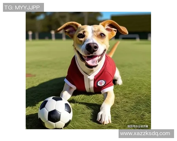 足球明星与爱犬的温馨瞬间大揭秘精美图片展示你不知道的宠物故事